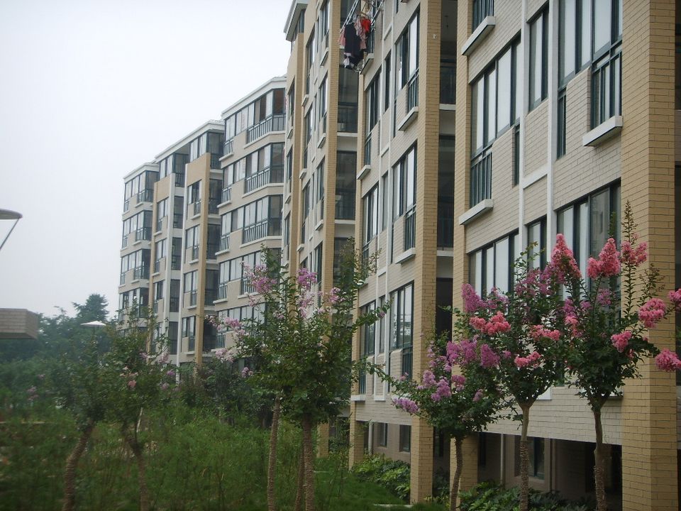 �|�����\�C�ϳ�