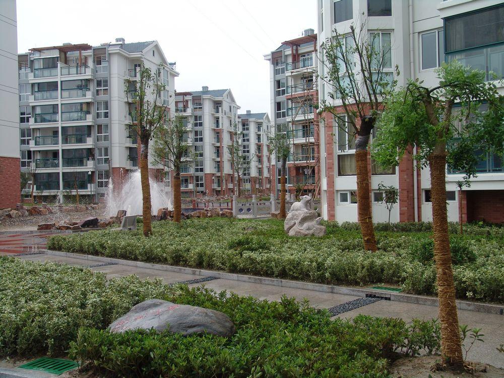 �|�����@